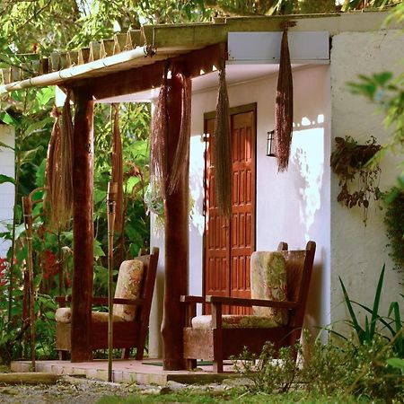 Casa A Beira Do Rio Jaguareguava Na Mata Atlantica Em Bertioga Sp Villa Dış mekan fotoğraf