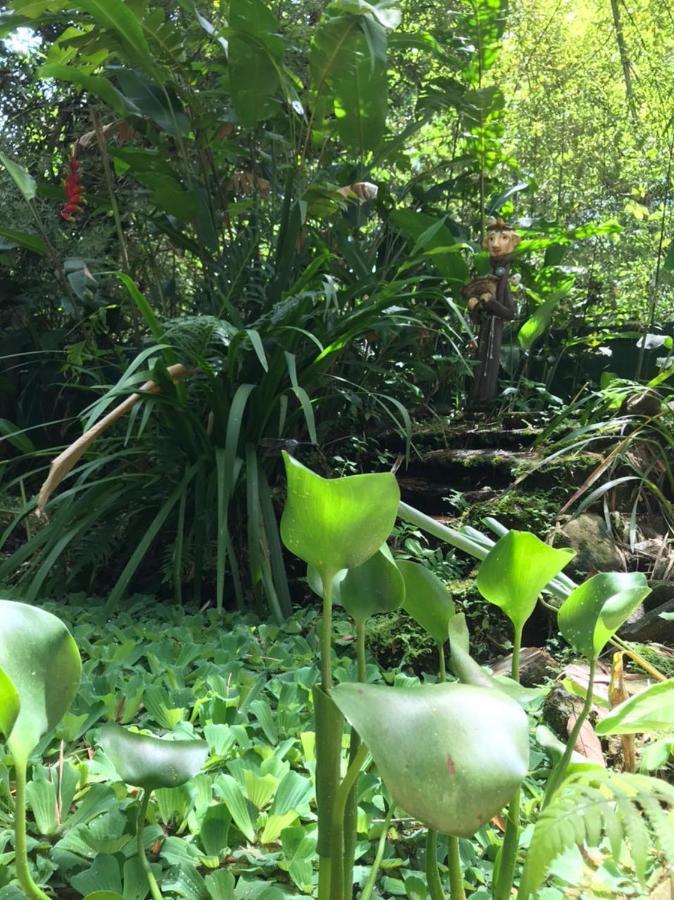 Casa A Beira Do Rio Jaguareguava Na Mata Atlantica Em Bertioga Sp Villa Dış mekan fotoğraf