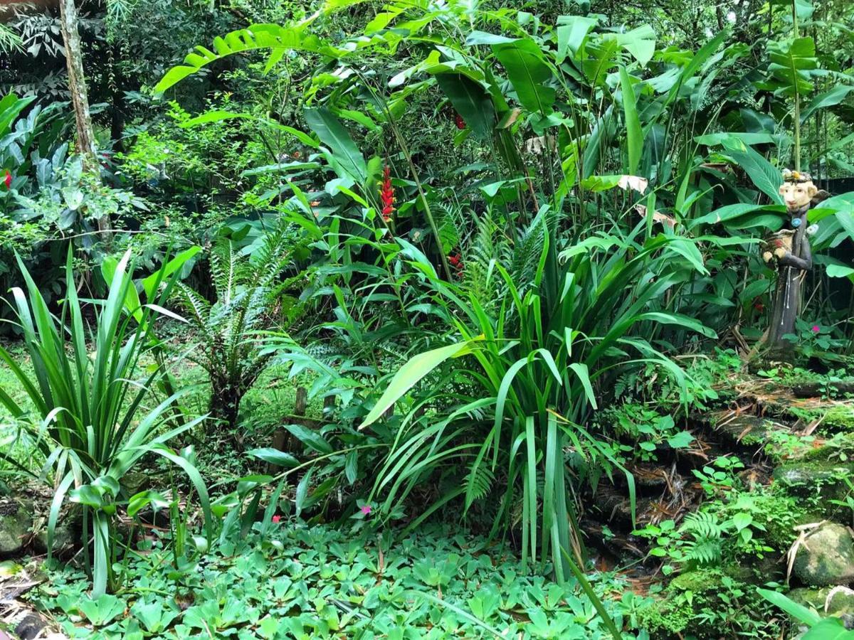 Casa A Beira Do Rio Jaguareguava Na Mata Atlantica Em Bertioga Sp Villa Dış mekan fotoğraf