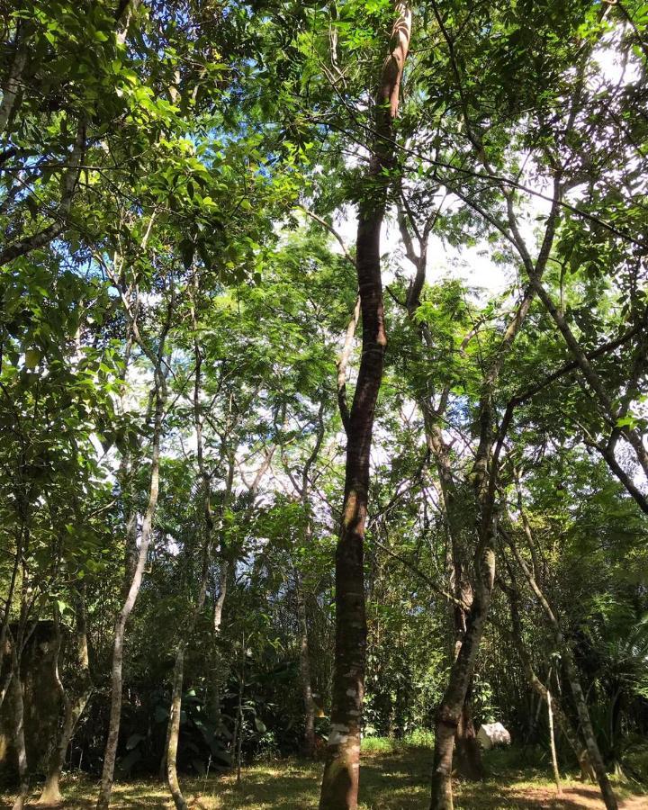 Casa A Beira Do Rio Jaguareguava Na Mata Atlantica Em Bertioga Sp Villa Dış mekan fotoğraf