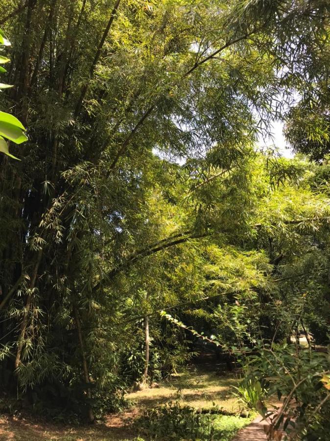 Casa A Beira Do Rio Jaguareguava Na Mata Atlantica Em Bertioga Sp Villa Dış mekan fotoğraf