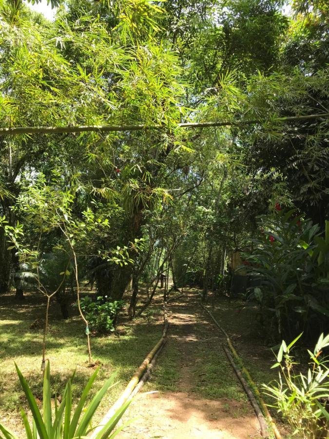 Casa A Beira Do Rio Jaguareguava Na Mata Atlantica Em Bertioga Sp Villa Dış mekan fotoğraf