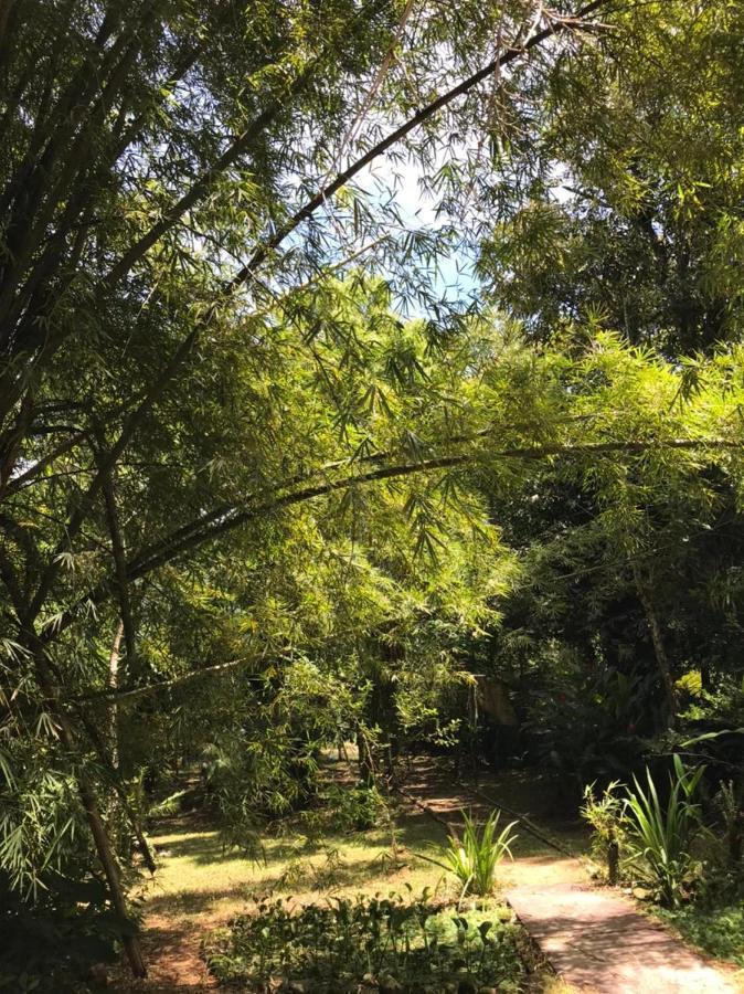 Casa A Beira Do Rio Jaguareguava Na Mata Atlantica Em Bertioga Sp Villa Dış mekan fotoğraf